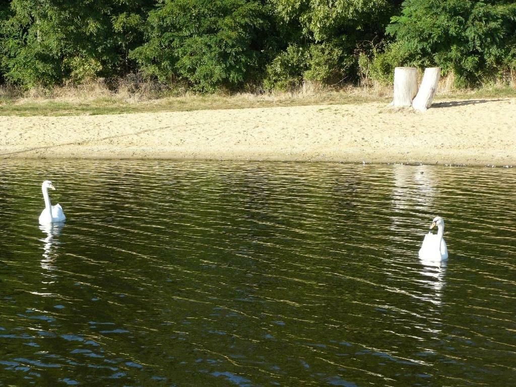 Osrodek Wypoczynkowy Sielawa Βίλα Chrzypsko Wielkie Εξωτερικό φωτογραφία